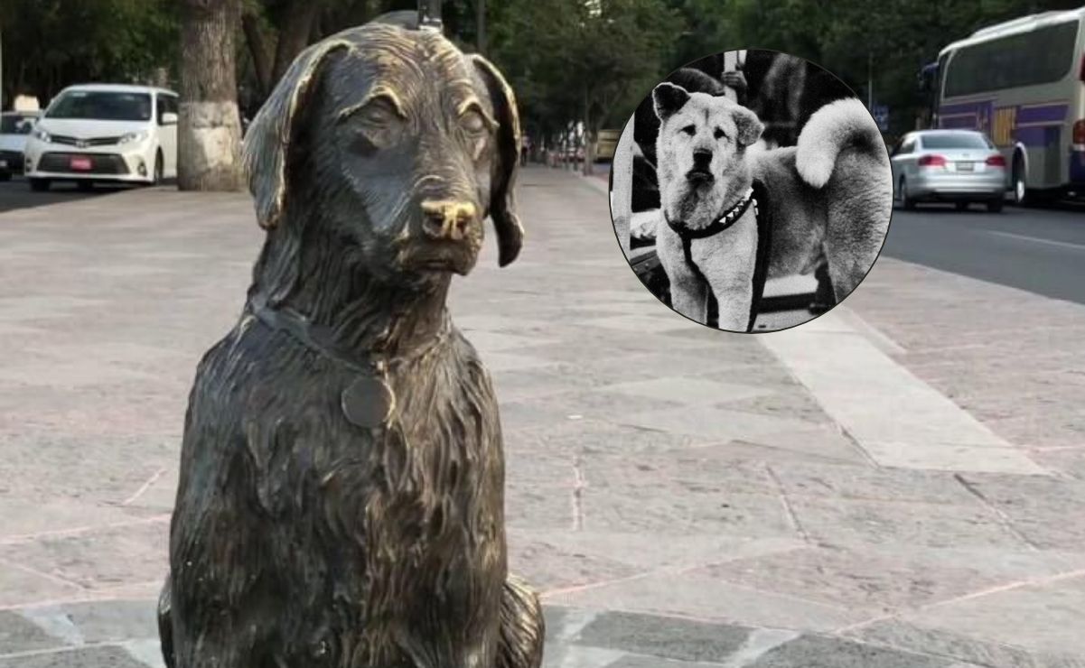 La trágica historia del perrito Pimpón, el Hachiko mexicano en Querétaro