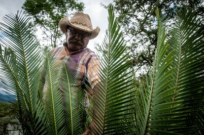 Don Pedro, guardián de tesoros históricos en la Sierra Gorda