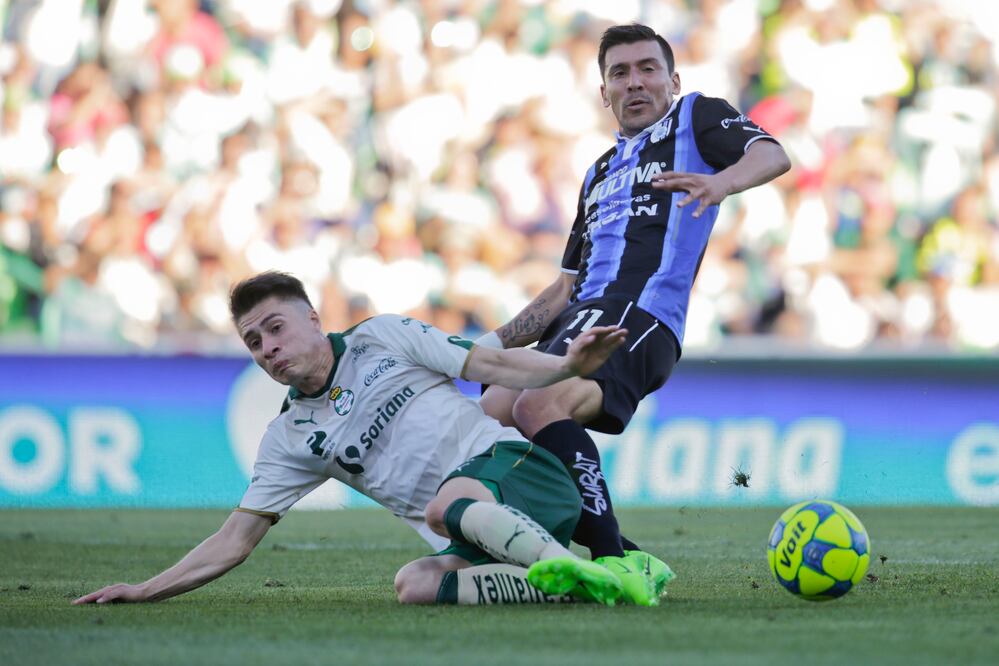 Foto: Gallos Blancos