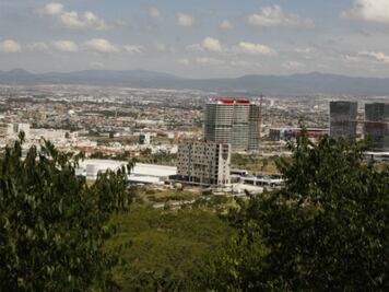 Cambian uso de suelo de 400 ha forestales