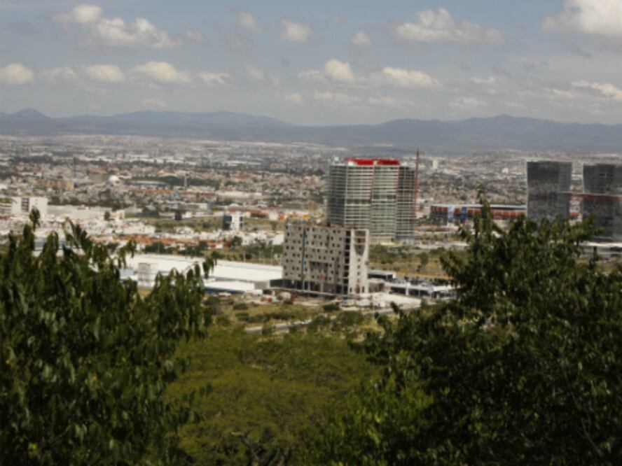Cambian uso de suelo de 400 ha forestales