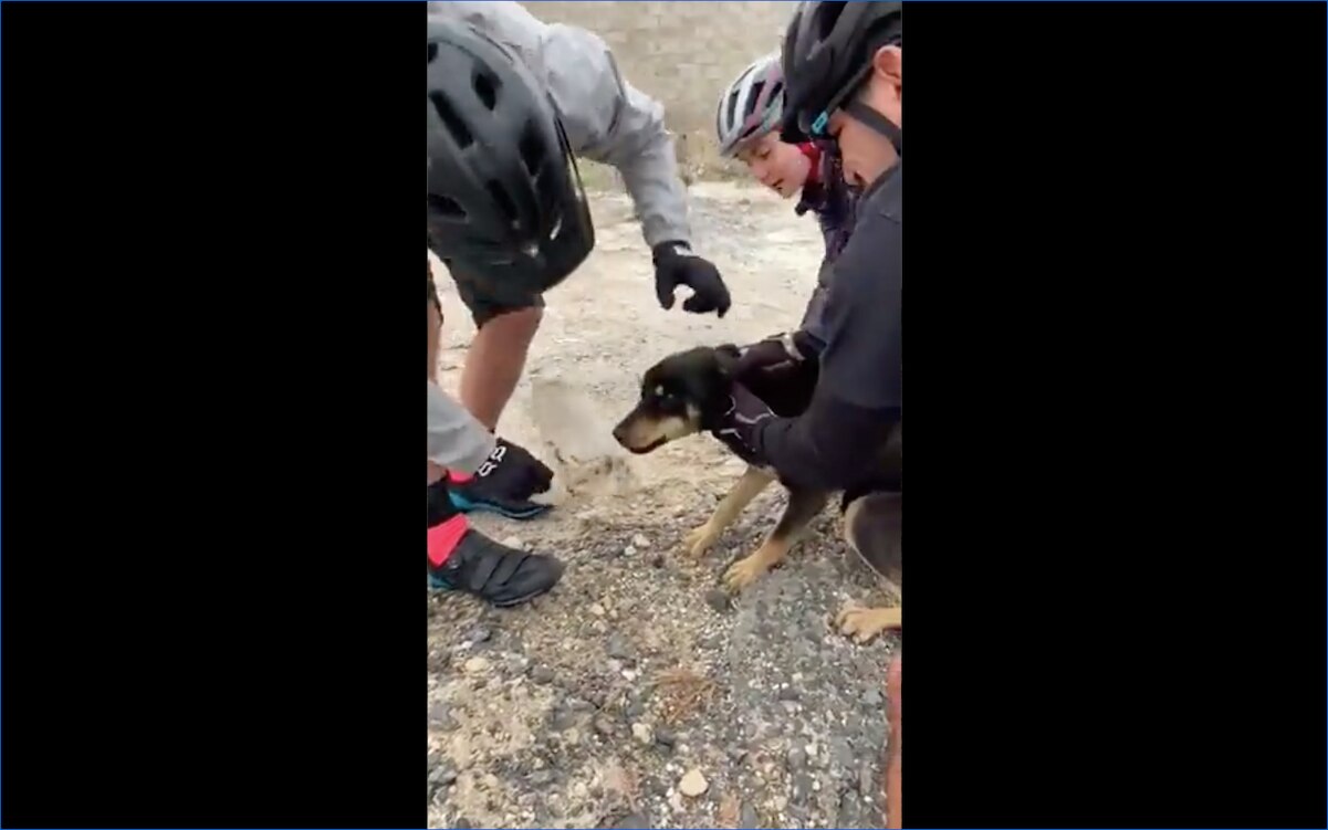 Foto: Captura de pantalla