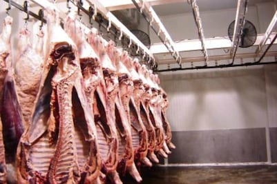 Produce rastro 80% de demanda