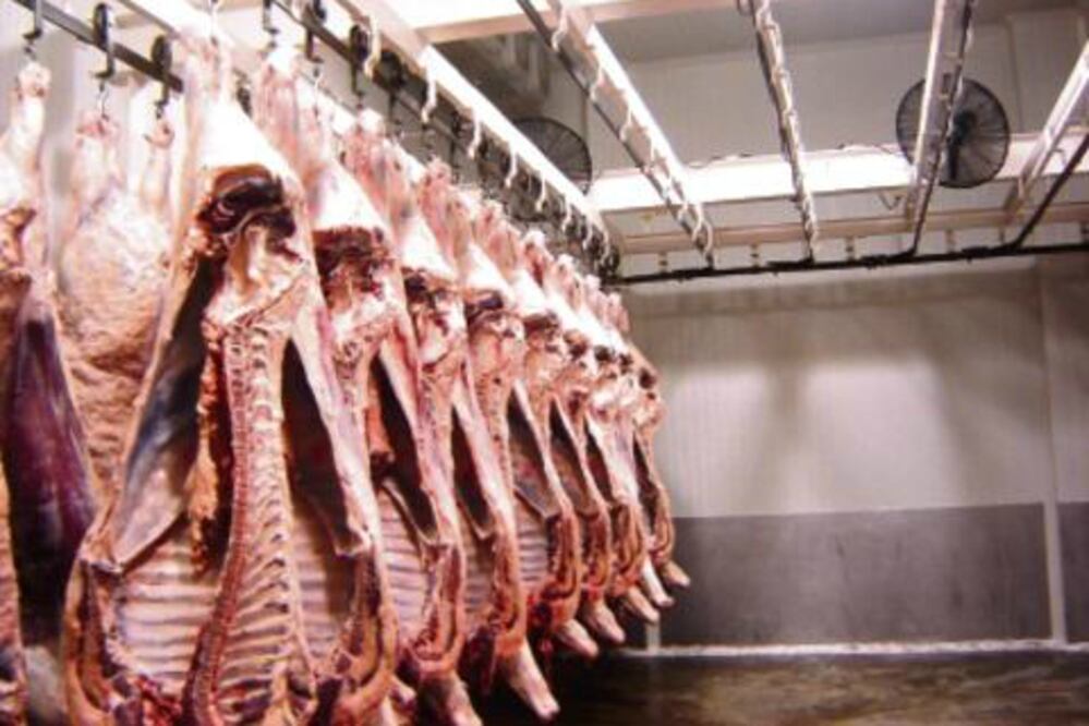 Produce rastro 80% de demanda