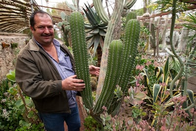 Vivero cumple 100 años; rica herencia de los Schmoll