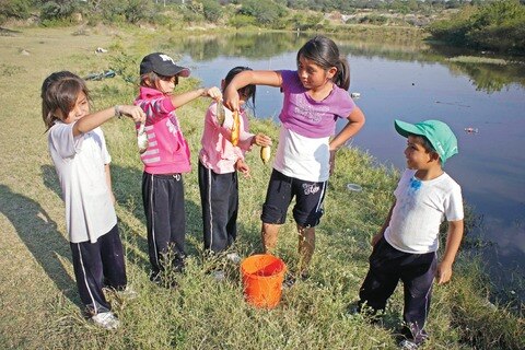 Ecologista atribuye problema a falta de inspección en  factorías
