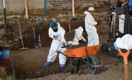 Colectivos de desaparecidos estiman 60 cuerpos recuperados de fosas irregulares en Morelos; continúan trabajos para ordenar datos sobre exhumaciones