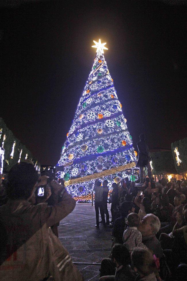 Encenderán árboles monumentales