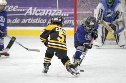 2013, año positivo para los Mapaches  