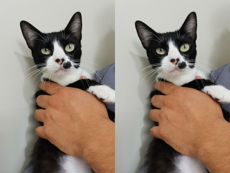 FOTO. CAPTURA DE PANTALLA