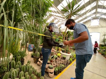 Con largas filas y restricciones, abren el mercado de Las Flores 