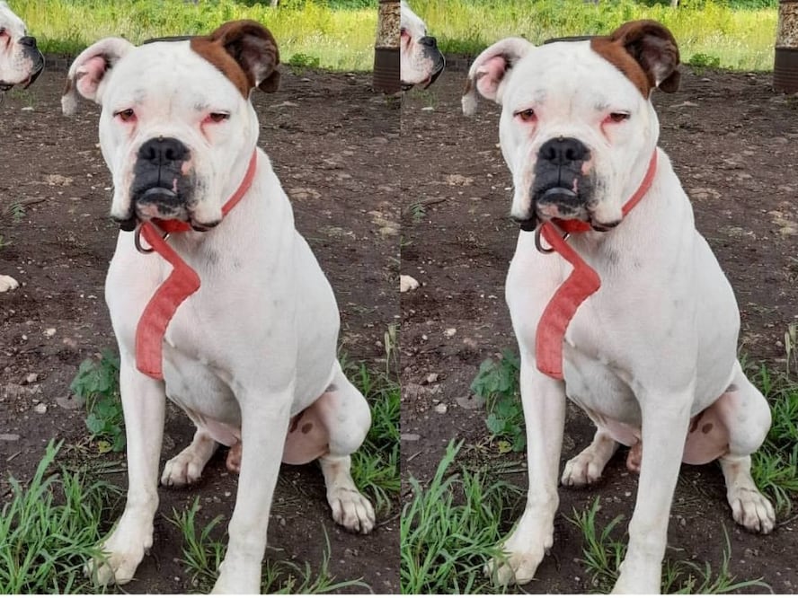 FOTO. TOMADA DE FACEBOOK