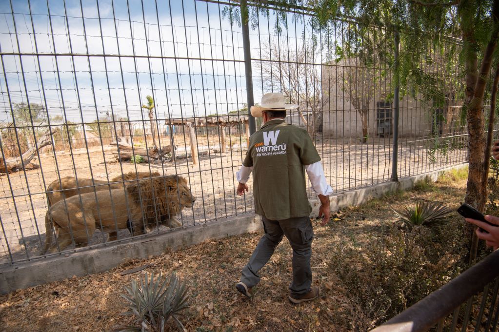 La Asociación Mizontli estará pendiente de los trabajos en el Zoológico Wamerú