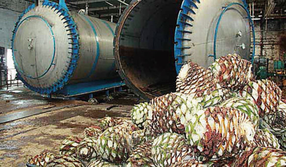 Busca impulsar a productores de agave