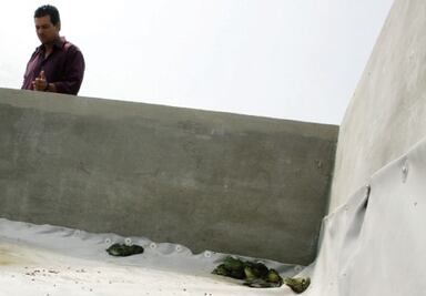 Buscan crecimiento empresarial