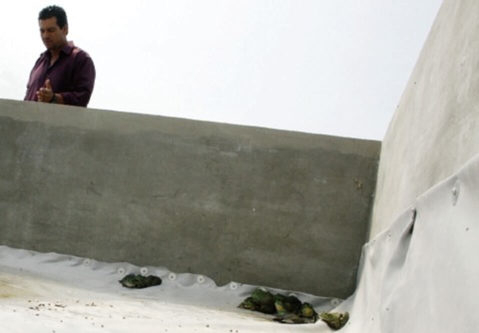 Buscan crecimiento empresarial