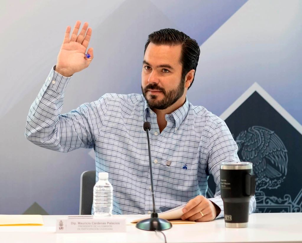 Ley Oli se votará hasta enero próximo