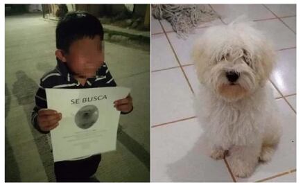 Niño llorando recorre las calles buscando a su perrito; se vuelve viral 