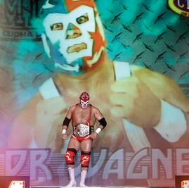 Fin de semana de lucha libre