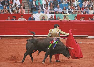 Opinión. El precio de los toros en Internet
