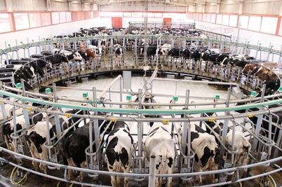 El campo queretano pedirá apoyos a EPN 