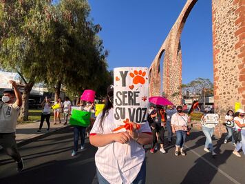"Ni una patita menos": toman las calles de Querétaro para exigir alto al maltrato animal 