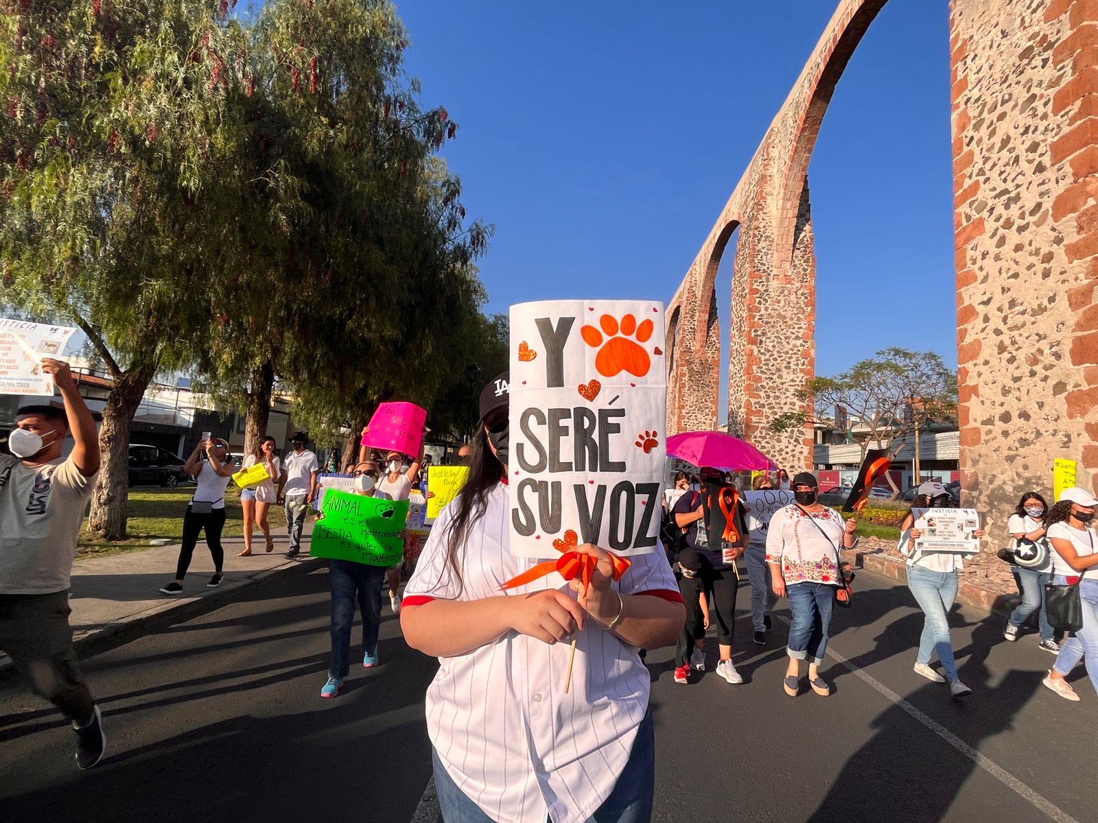 "Ni una patita menos": toman las calles de Querétaro para exigir alto al maltrato animal
