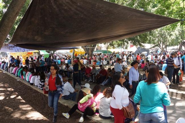 El magisterio disidente informó que impedirán una revisión a la nómina hasta que haya un documento que avale un acuerdo con el gobierno estatal. (ARCHIVO EL UNIVERSAL)