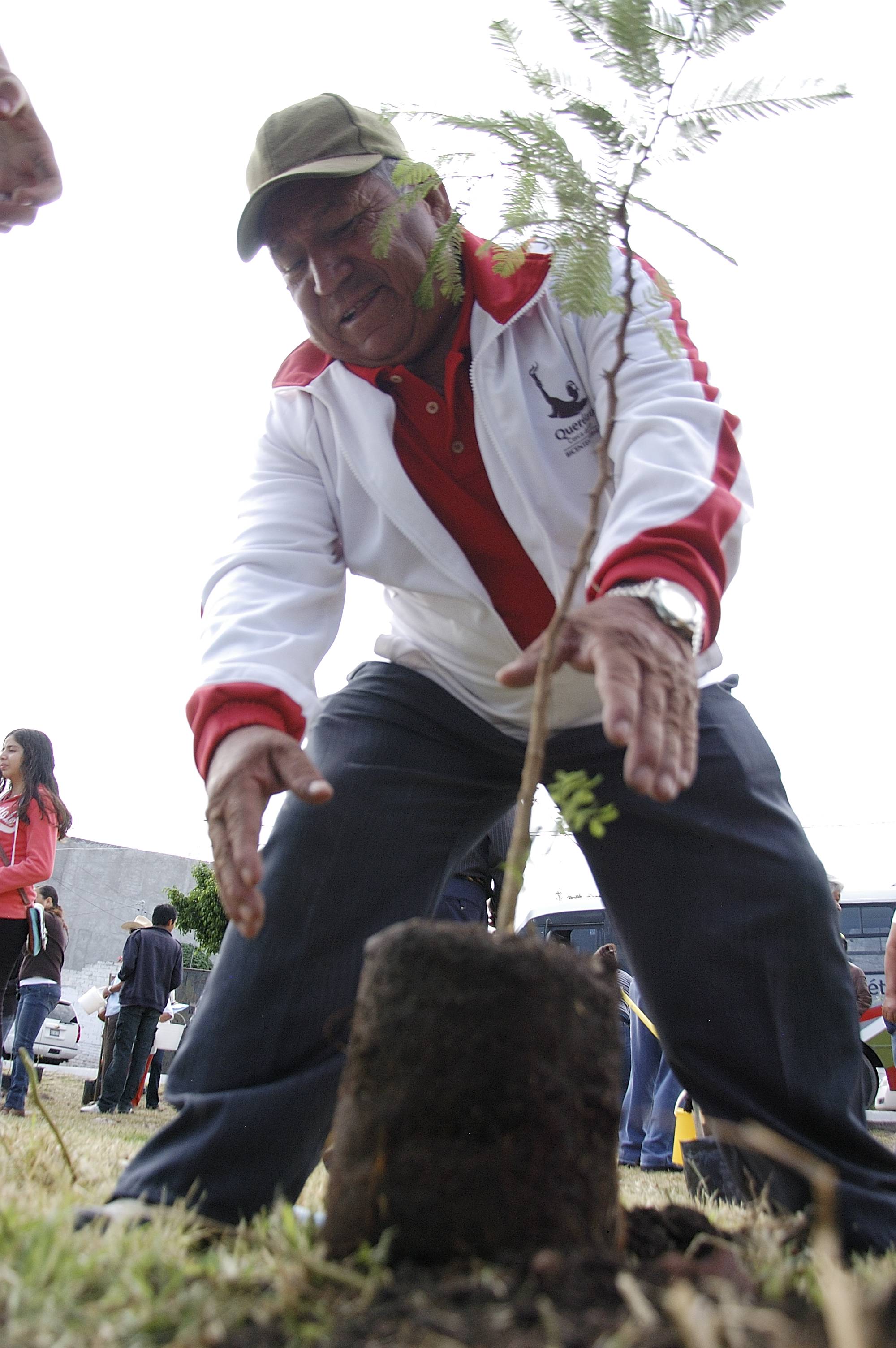 Arranca reforestación por abuelitos