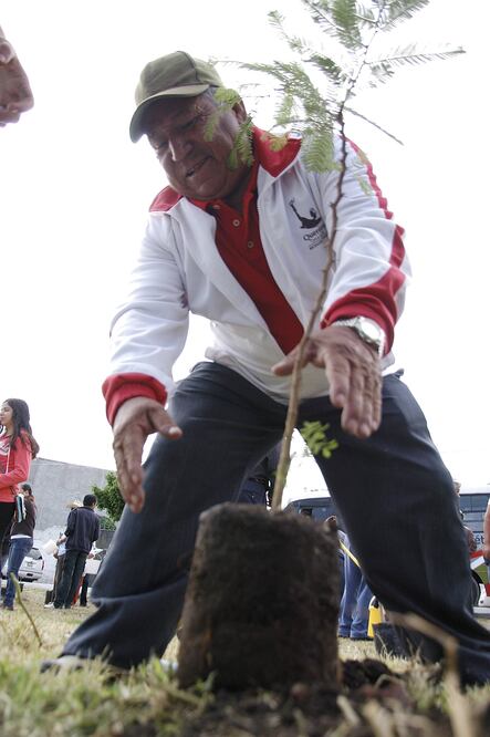 Arranca reforestación por abuelitos