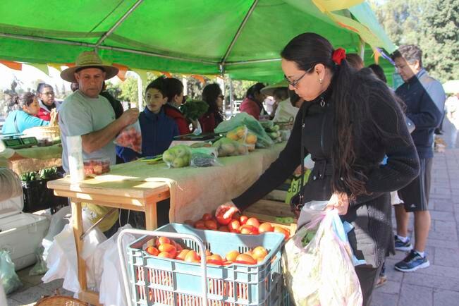 Realizan encuentro de economía solidaria