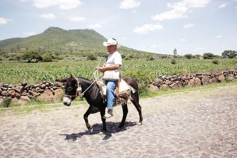Sin escrituras, 70% de ejidatarios en SJR