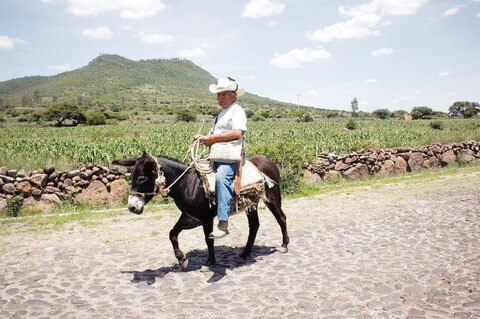 Sin escrituras, 70% de ejidatarios en SJR