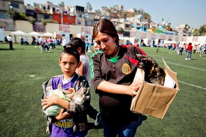 Mexicanos prefieren perrhijos y no gathijos, dice el Inegi
