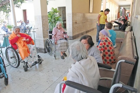 Adultos mayores buscan reactivarse