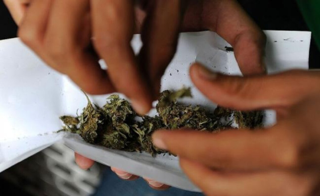 Qué implica el fallo de la SCJN en torno a la marihuana