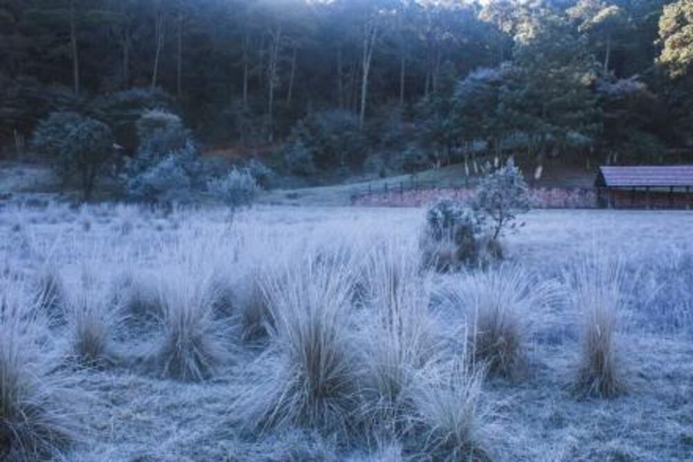 Jalpan y Pinal de Amoles se preparan para una noche con temperaturas de hasta -4°C . FOTO: ARCHIVO