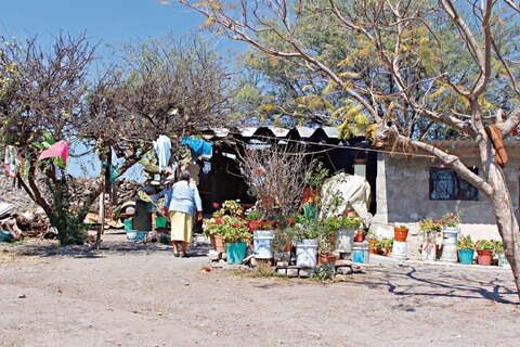 Cuestionan lanzamiento del traductor de dialectos ‘online’