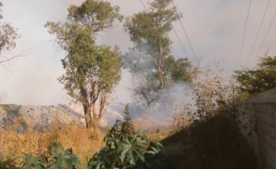 Foto: Twitter @M_AmbienteGto