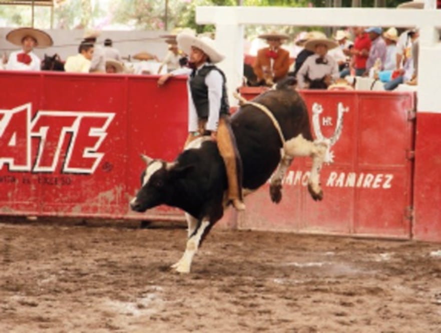 Finca Arroyo Seco toma la cima