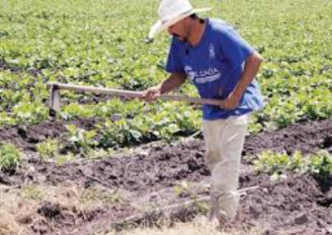 Aumenta presupuesto para el campo