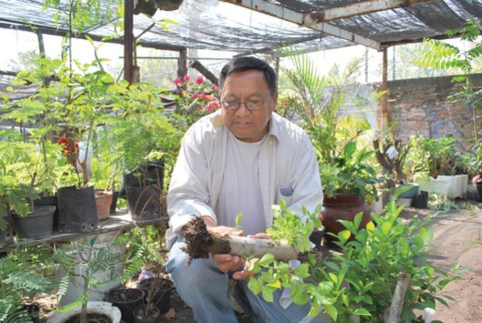 Vivero de UAQ crea vida con desechos