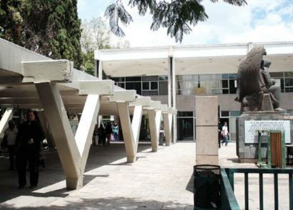 Solicita IMSS alta de trabajadores 