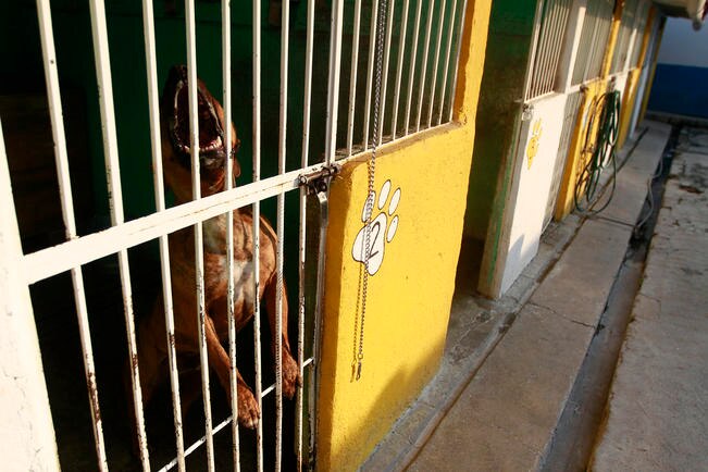 Pocos recursos en SJR obliga a renunciar a funcionaria