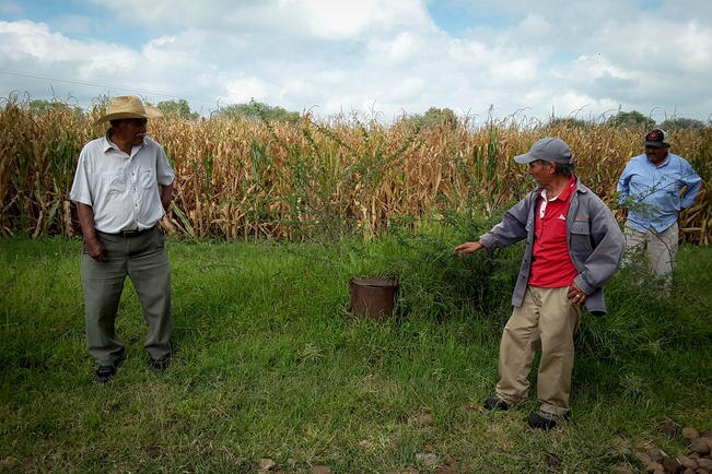 Ejidatarios pierden tierras por falta de documentos