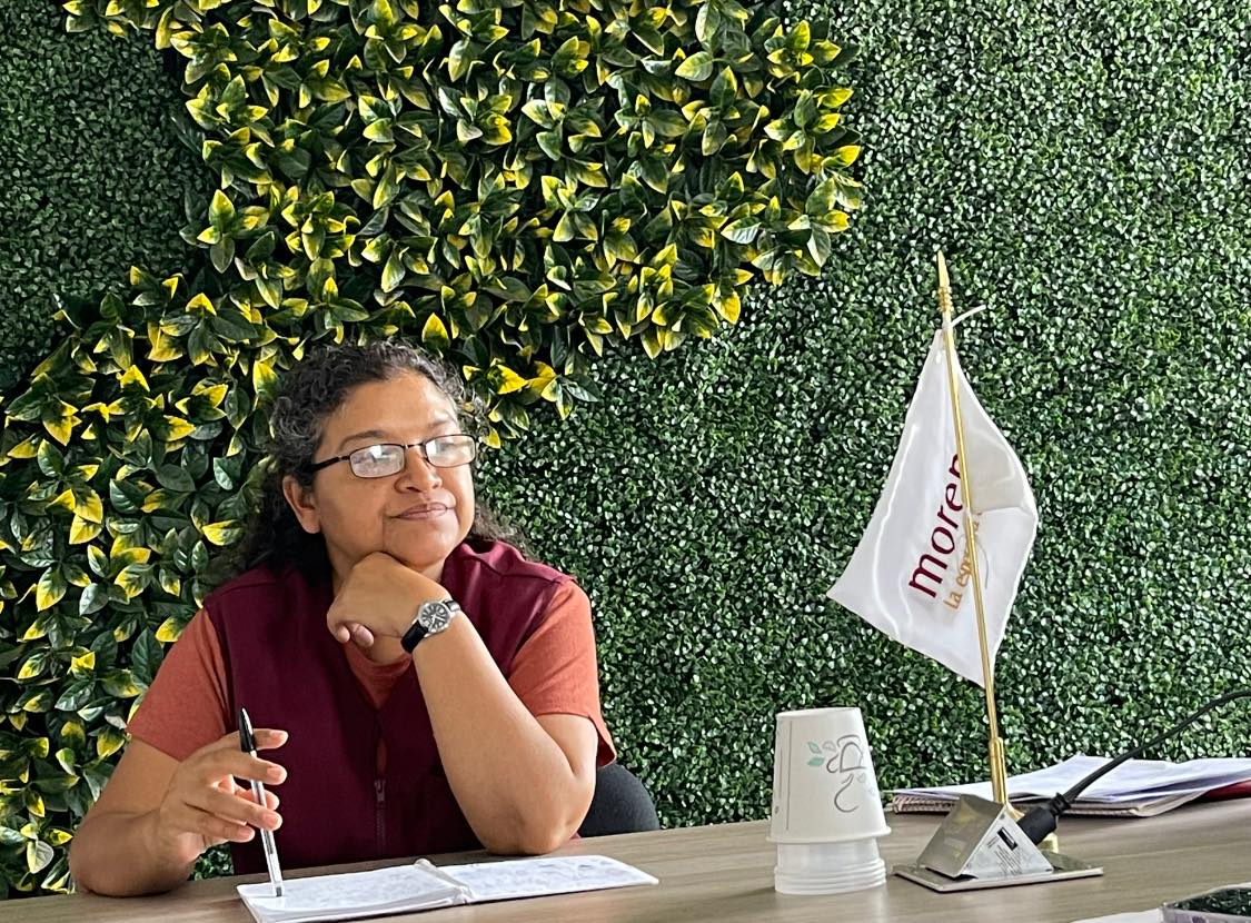 Diputados de Morena que aprobaron deuda serían expulsados del partido