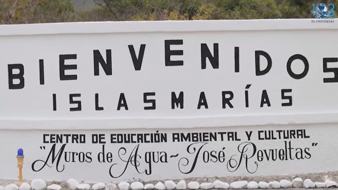 Foto: Captura de pantalla