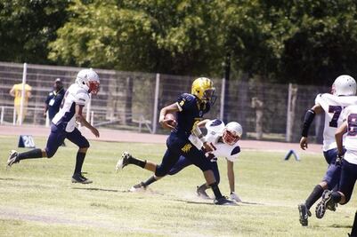 Juveniles de Gatos Salvajes, en grande