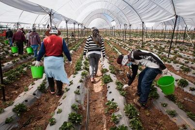 Sedea: 56% de la población son núcleos agrarios 