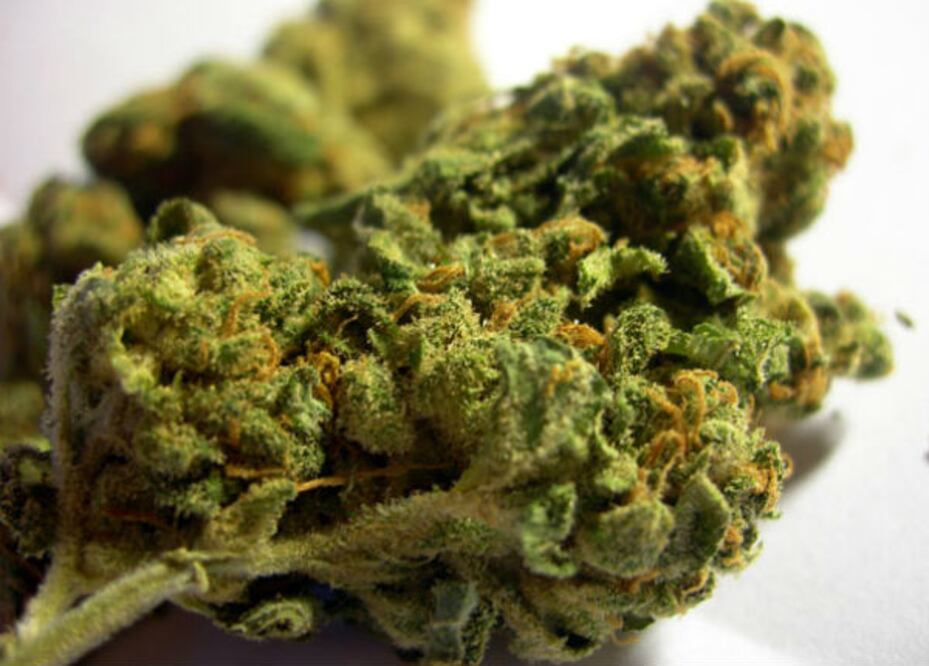 Llevaba mariguana y fue asegurado